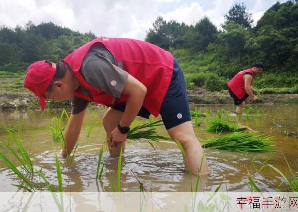 夫妻之间三十中插秧方法：探索夫妻间的三十种插秧技巧与默契培养方法