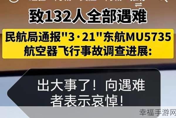 东航事故原因：东航事故原因分析：多因素交织导致惨剧发生