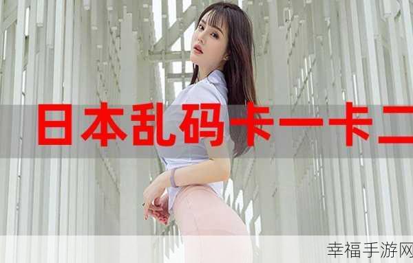 欧美一卡二卡XXX：欧美一卡二卡：探索无缝支付与便捷生活的新选择