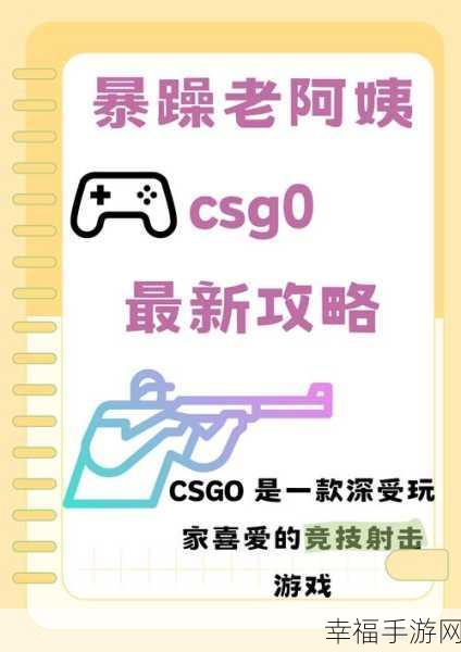 暴躁老阿姨csgo新手技巧：新手必看：暴躁老阿姨教你CSGO实用技巧解析