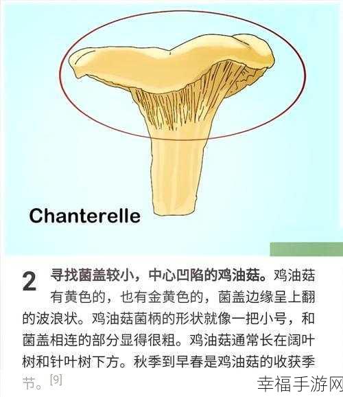 蘑菇视屏黑料：揭秘扩展蘑菇的神秘黑料与真相，深度解析其影响