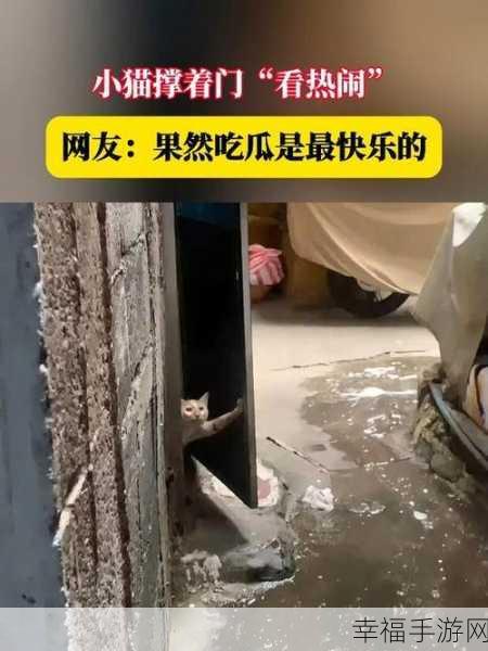 网曝吃瓜热门事件：“网民热议：最新吃瓜事件引发全网关注与讨论”