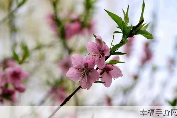 桃花洞口已是溪水潺潺是什么意思：溪水潺潺，桃花洞口春意盎然的景象描绘