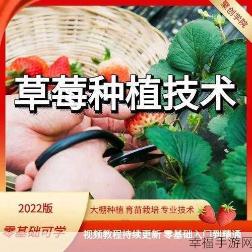 草莓 视频链接：“如何在家中成功种植甜美草莓的详细视频教程”