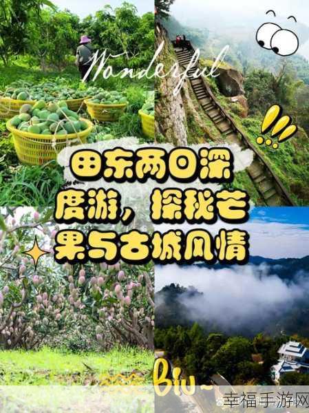 芒果一区隐藏人口：探秘芒果一区隐藏人口的真实面貌与未来发展潜力