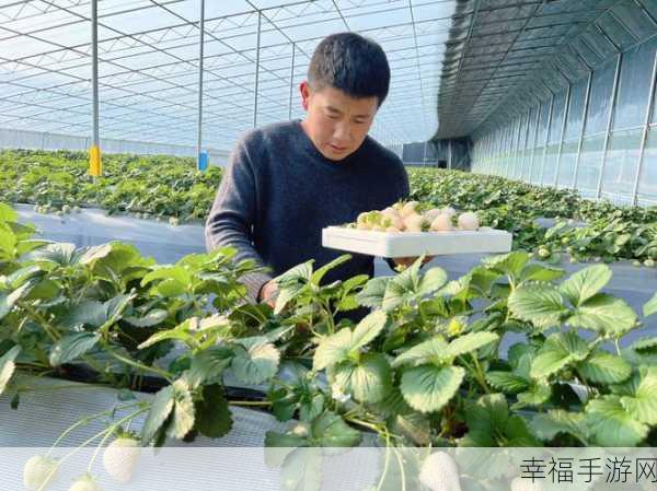 草莓视频黄色：探索草莓视频的多彩世界，尽享精彩内容与乐趣！