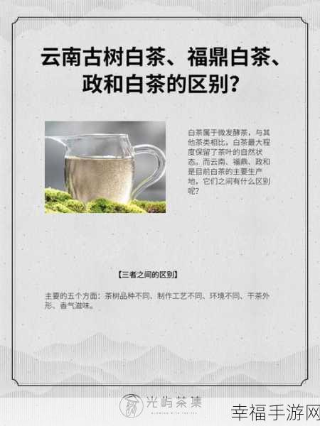 精产国品二产区的区别：深入探讨精产国品与二产区的区别及其影响因素