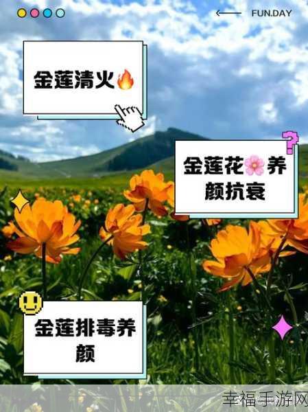 金莲国产网站：拓展金莲国产网站，助力本土品牌崛起与发展