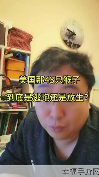 二人生猴子全程不盖被子视频大全集：二人协作挑战：全程不盖被子的趣味猴子视频全集