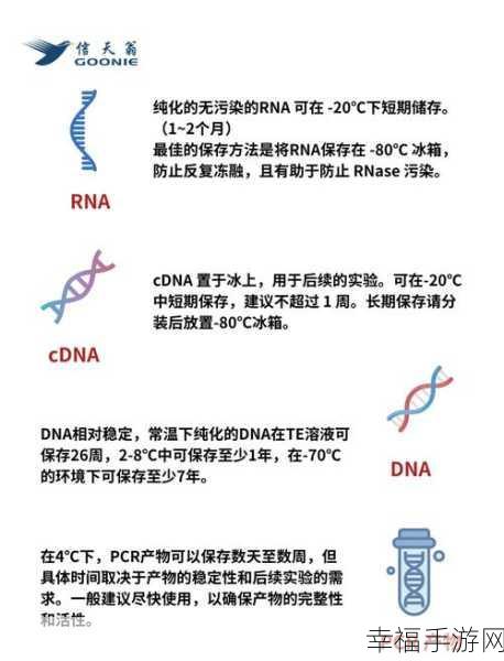 rna与cdna杂交：拓展RNA与cDNA杂交技术在基因研究中的应用与前景