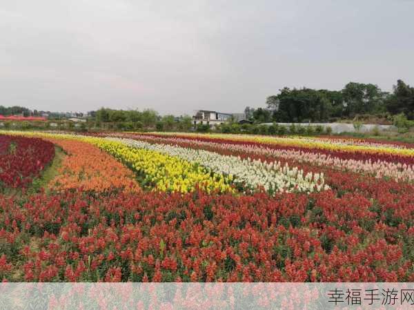 外国黄冈浏览：探索外国黄冈：独特文化与风景的完美结合之旅