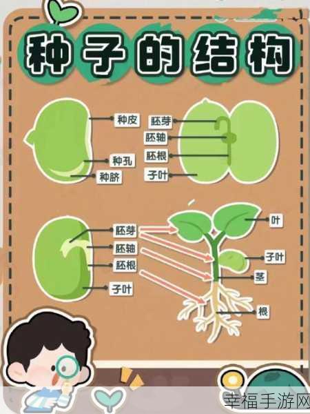 种子搜索：探索新领域：种子搜索的无限可能与应用前景