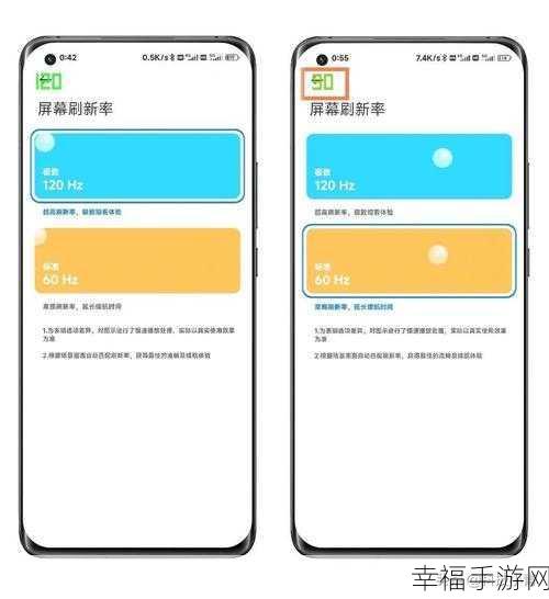 轻松掌握小米 12 显示刷新率的绝佳设置技巧