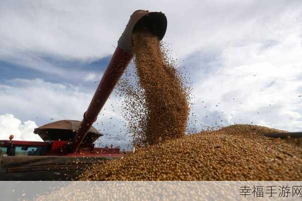 忘忧草在线视频观看大豆行情：“2023年大豆行情分析与投资策略探讨”