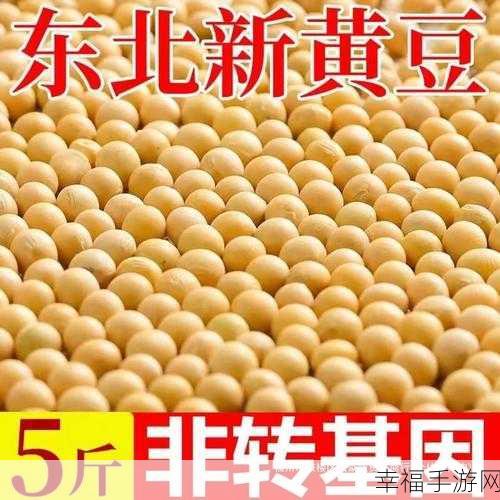 忘忧草在线视频观看大豆行情：“2023年大豆行情分析与投资策略探讨”