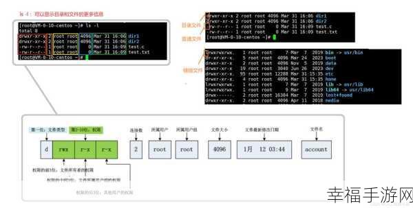 深度探索，Linux 系统管理员权限获取秘籍