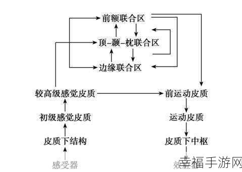 欧美精区：拓展欧美精区，探索文化与经济的新机遇