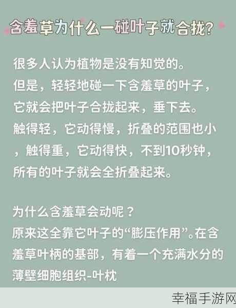 含羞草实验所隐藏2024：揭示含羞草实验背后的科学秘密与未来展望