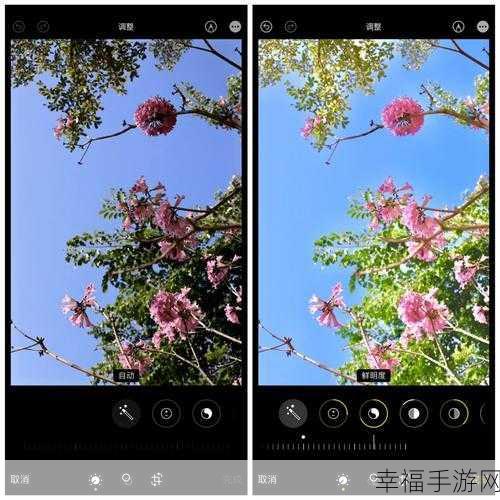 hd2linode日本成熟iphone69：探索HD2Linode日本市场的成熟解决方案与iPhone 69的潜力分析