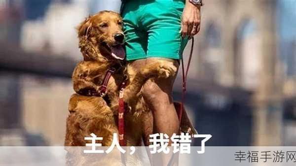 知道错了请主人教训