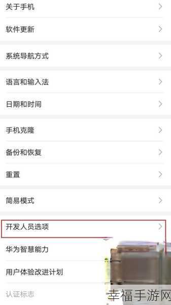 华为手机开发人员选项的神秘入口攻略