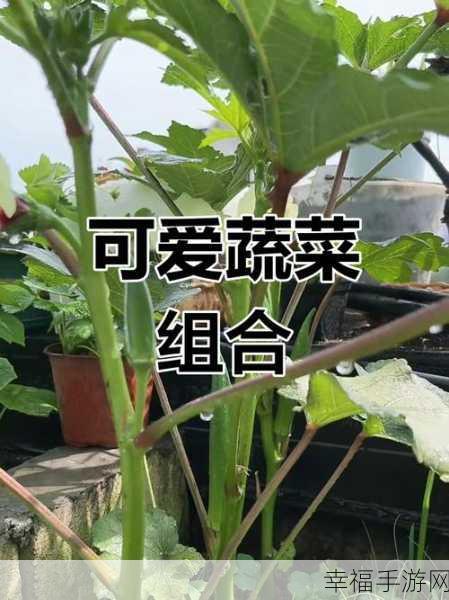 香蕉草莓茄子丝瓜秋葵：五种美味蔬果搭配，营养丰富带来健康生活