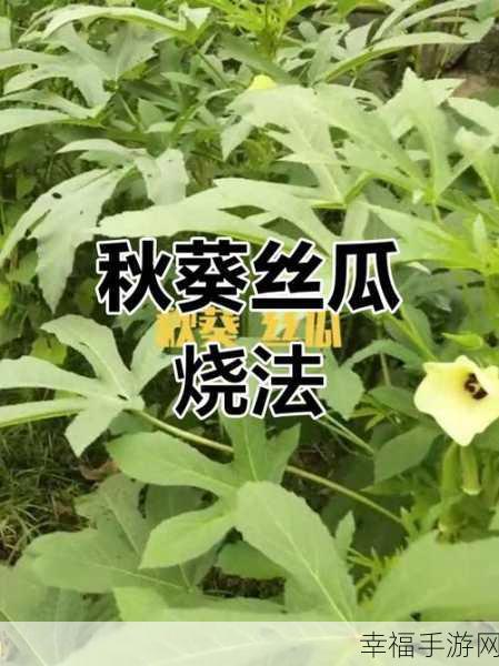 香蕉草莓茄子丝瓜秋葵：五种美味蔬果搭配，营养丰富带来健康生活