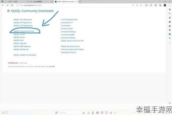 MySQL 新手必知，哪个版本才是最佳选择？