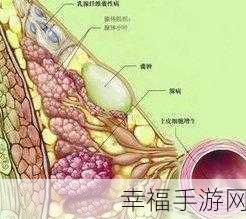 八重神子乳腺增生照片：八重神子乳腺增生照片解析：探索健康与美的平衡之道