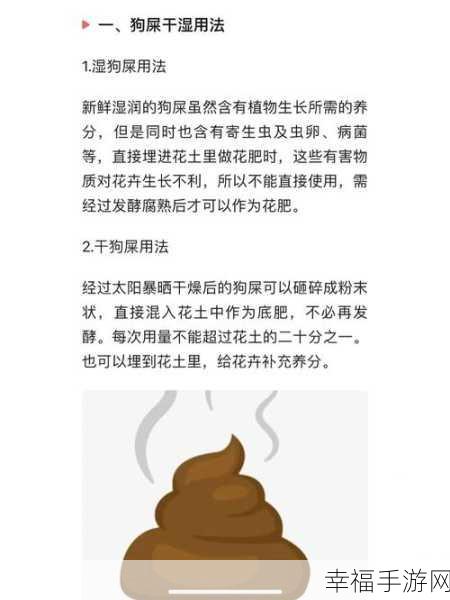 可不可以干湿你先说：当然可以！新标题可以是：“探讨干湿环境对植物生长的影响与应用”。