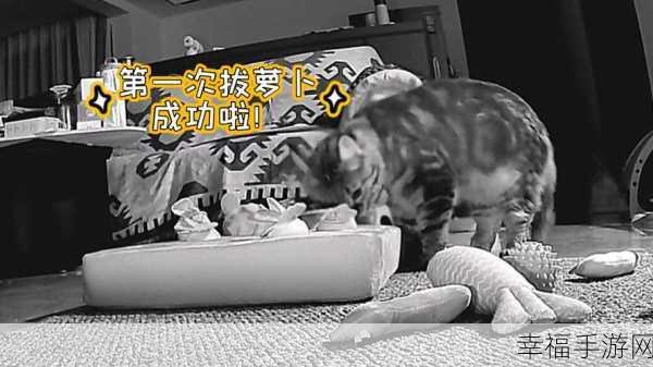 二人世界拨萝卜生猴子：在二人世界中，携手拨萝卜生猴子，共享欢乐时光