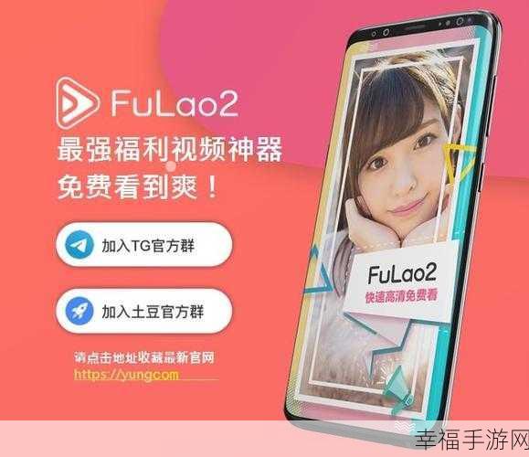 Fulao2检测线路1：拓展Fulao2检测线路1，提升系统稳定性与效率优化方案