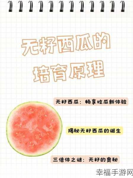 17.c吃瓜网给瓜友提供最新最全面吃瓜：17.c吃瓜网：为你呈现最新最全的娱乐八卦资讯！