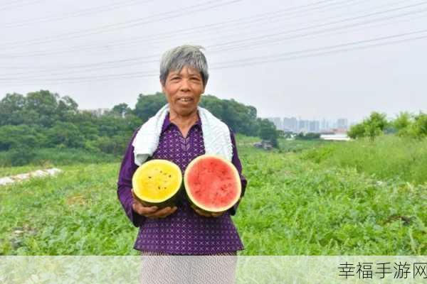 朝阳吃瓜群众 论坛：“朝阳吃瓜群众论坛：分享趣闻与生活点滴的乐园”