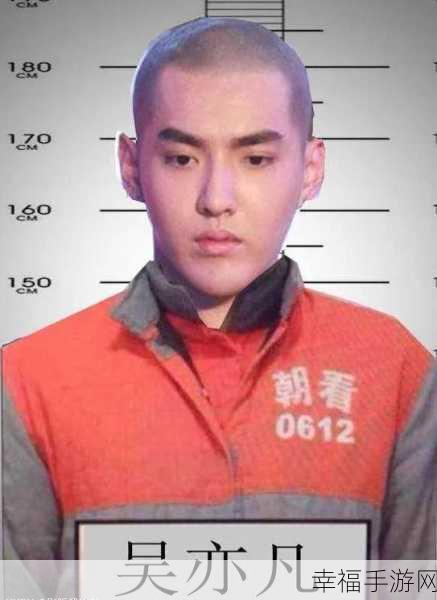 吴亦被抓：吴亦被捕事件引发的社会反响与思考