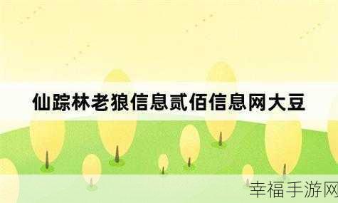 老狼信息网贰佰信息网金属仙踪林：老狼信息网与贰佰信息网的金属仙踪林探秘之旅