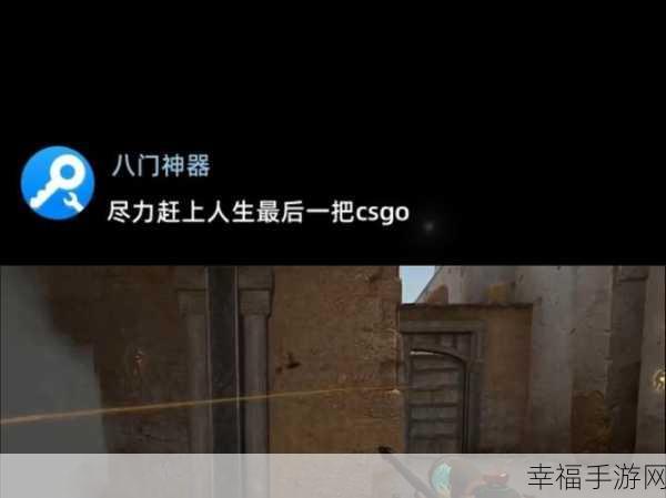 55岁大妈玩csgo背后故事：55岁大妈为何沉迷CSGO背后的感人故事与人生启示