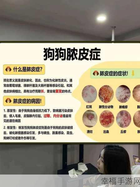 人狗胶配方大全狗狗：全面解析各种人狗胶配方，助您健康喂养爱犬！