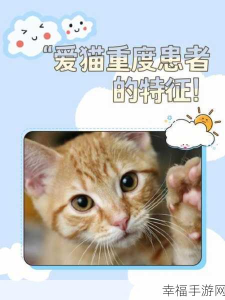 www.kuaimao8kw.xyw2023：探索快速猫八快网址，享受便捷网络服务的新体验！