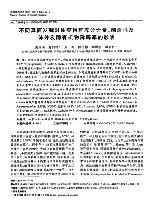 几丁质是关键怎么刷：有效拓展几丁质的关键策略与方法探讨