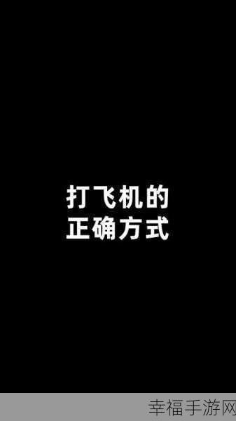 国内自产一品二品三品打飞机：国内自主研发的一品二品三品飞机全面升级迎接新挑战