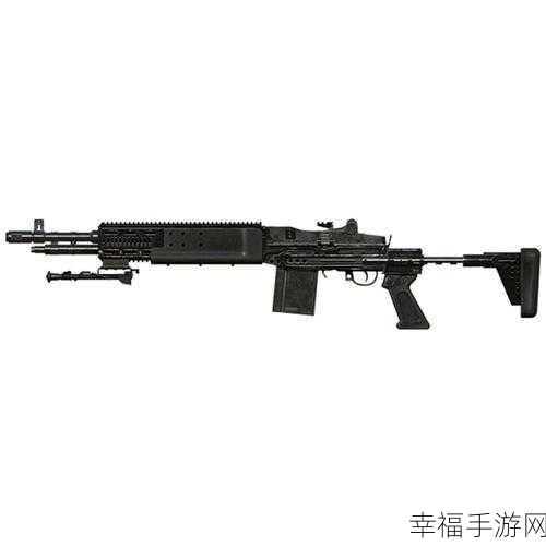 SKS和mk14：SKS与MK14步枪的全面对比及其历史发展探讨