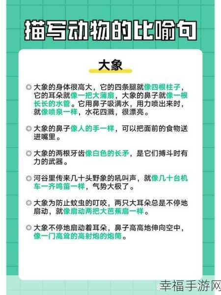 大象一品二品的区别：大象一品与二品的区别详解及其应用场景分析