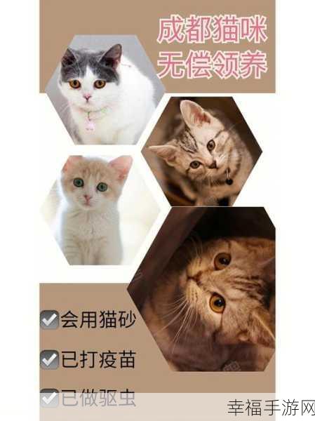 免费猫咪翻译器大揭秘，谁是最佳之选？