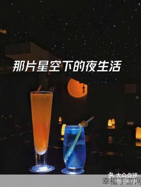 夜晚玩耍生活：夜晚的欢愉：尽情享受星空下的玩耍时光