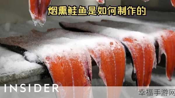 烟熏鲑鱼食谱哪里买得到：哪里可以买到新鲜的烟熏鲑鱼和相关食材？