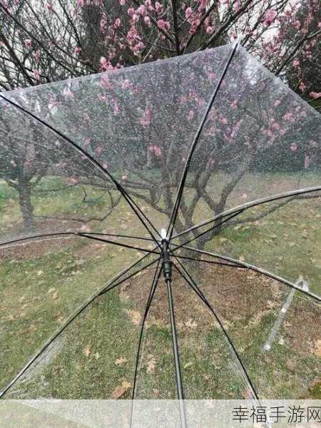 今天晚上你弄了几个小雨伞：今夜我精心准备了几把小雨伞，迎接细雨的浪漫。