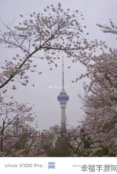 夜勤楼栋1-6樱花：夜勤楼栋1-6樱花盛开，静享春日美好时光