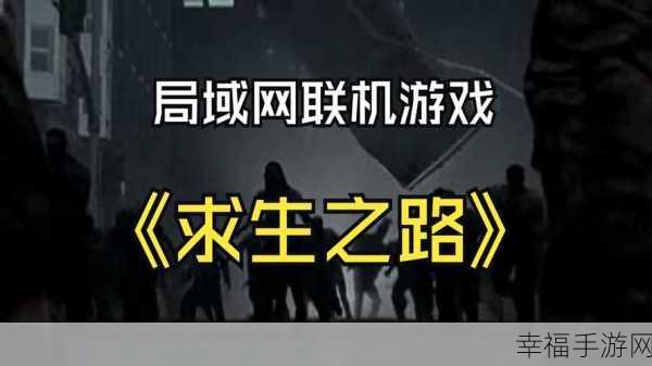 求生之路网吧如何局域网联机：拓展求生之路：网吧环境下的局域网联机攻略