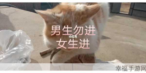 男生和女生生一起努力生猴子：男生女生共同努力，携手迎接新生命的诞生！